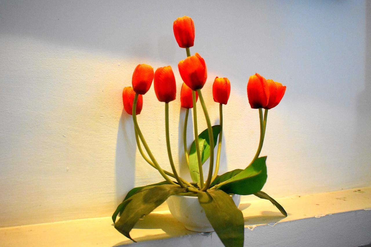 Villa Tulip Garden Anuradhápura Exteriér fotografie