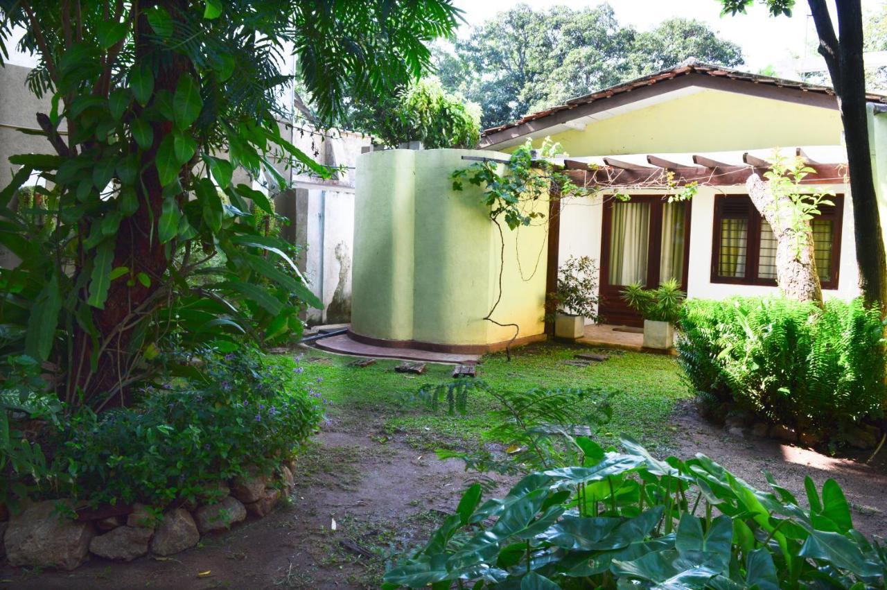 Villa Tulip Garden Anuradhápura Exteriér fotografie